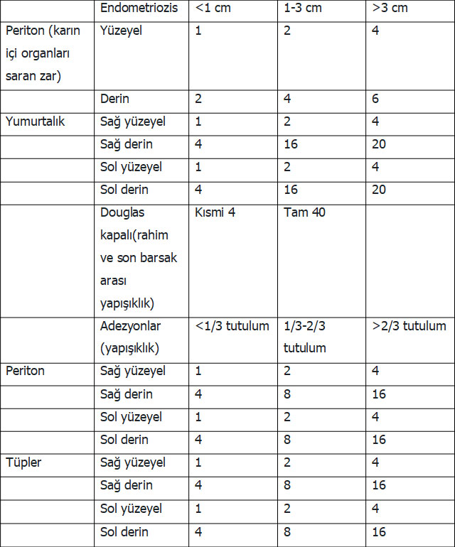 Endometriozis Evrelemesi